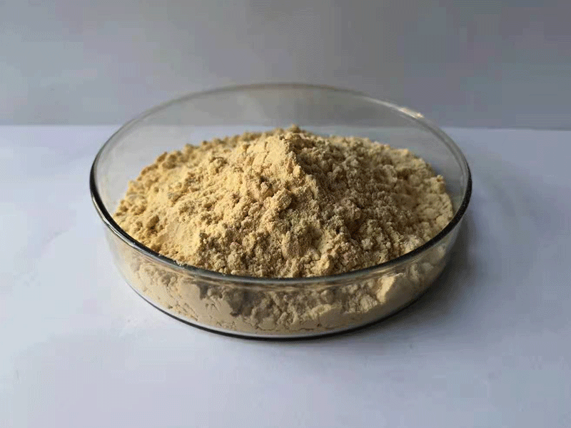 Polyglutamic Acid